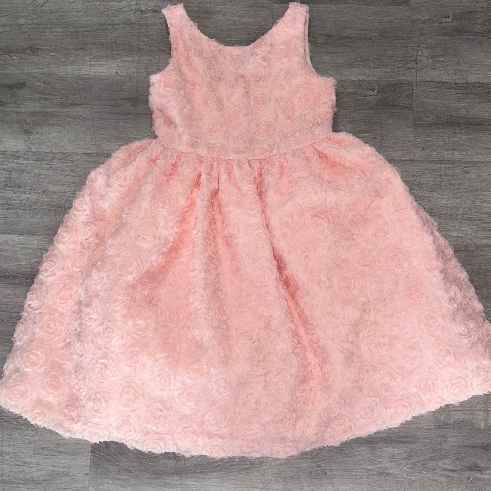 Janie and Jack Rosette Special Occasion Dress Size  8💕🌷💐